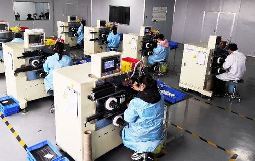 重庆忠县 规上工业企业复工复产率达100